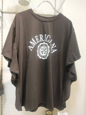 BLOG更新しました『晩夏物のＴシャツ』